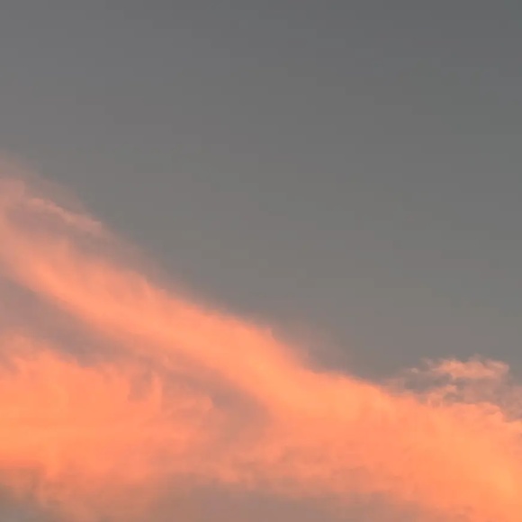 Meet your Posher, Morgan - Picture 1 of 1